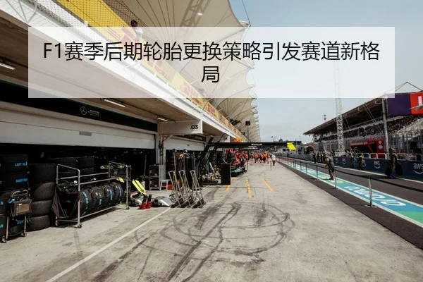 F1赛季后期轮胎更换策略引发赛道新格局